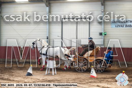 Mintakép 20260307-989