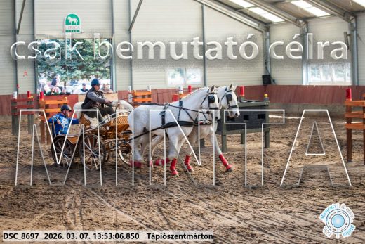 Mintakép 20260307-990