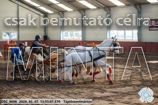 Mintakép 20260307-991