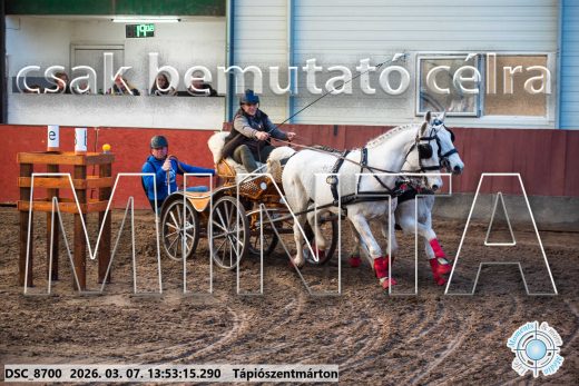 Mintakép 20260307-992