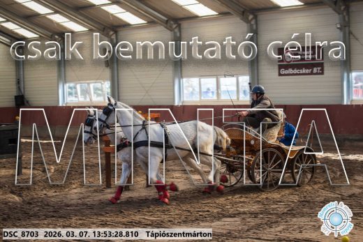Mintakép 20260307-994