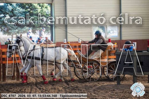 Mintakép 20260307-997