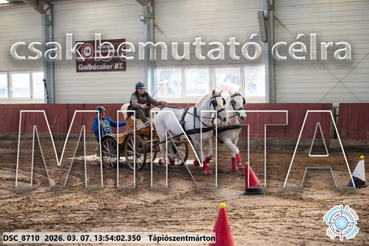 Mintakép 20260307-999