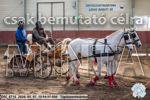Mintakép 20260307-1004