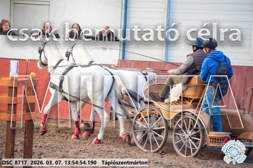 Mintakép 20260307-1005