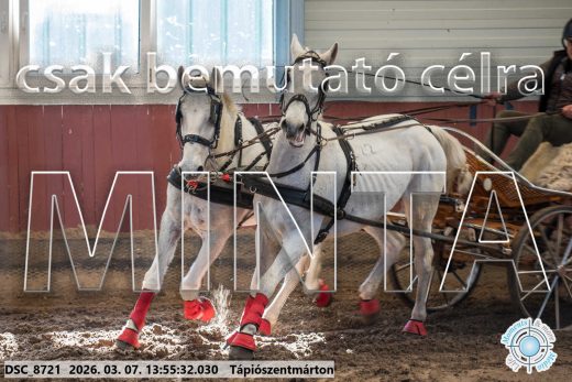 Mintakép 20260307-1009