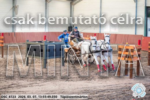 Mintakép 20260307-1010