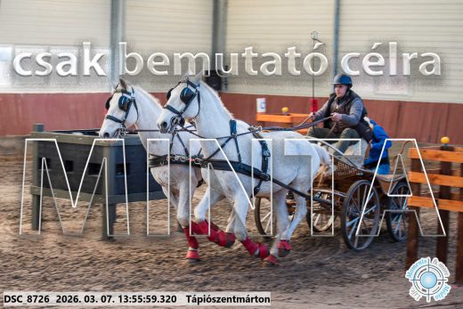 Mintakép 20260307-1012
