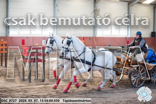 Mintakép 20260307-1013