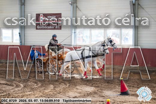 Mintakép 20260307-1015