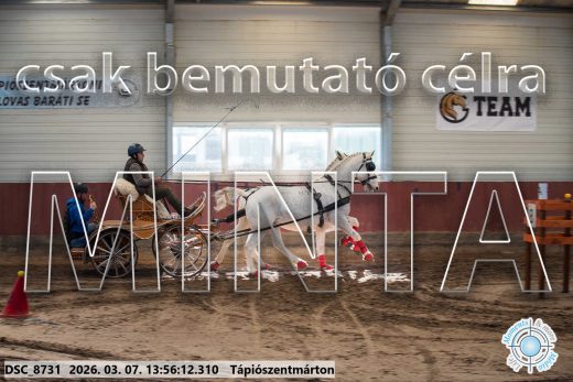 Mintakép 20260307-1017