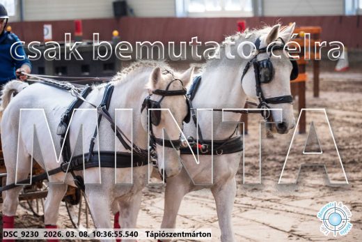 Mintakép 20260308-161