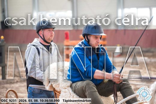 Mintakép 20260308-162