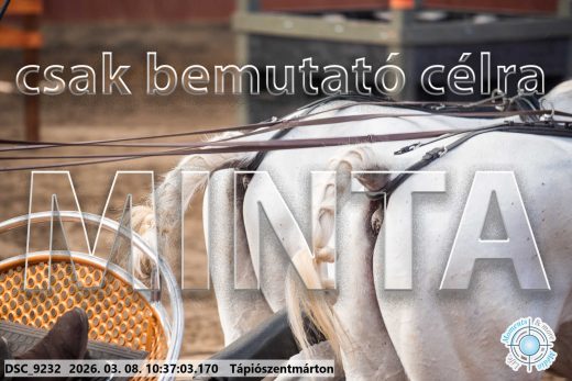 Mintakép 20260308-163
