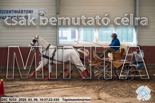 Mintakép 20260308-164