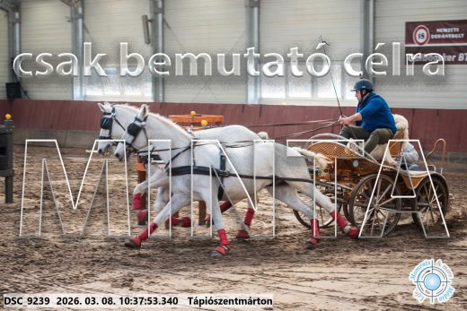 Mintakép 20260308-170