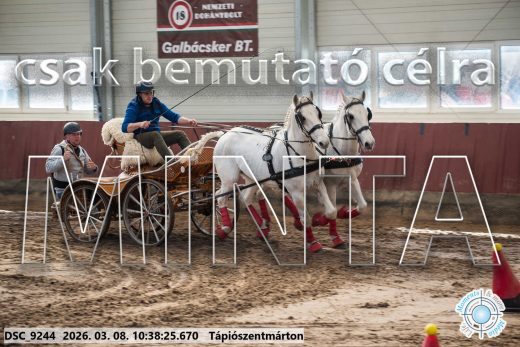 Mintakép 20260308-174