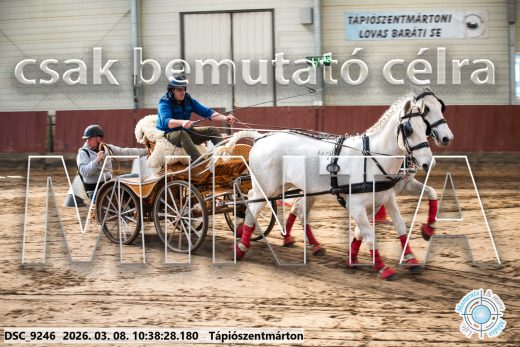 Mintakép 20260308-176