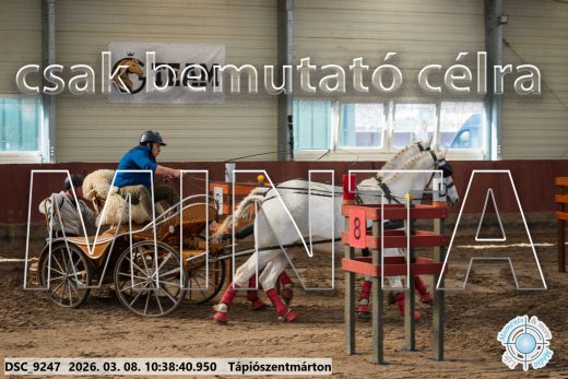 Mintakép 20260308-177