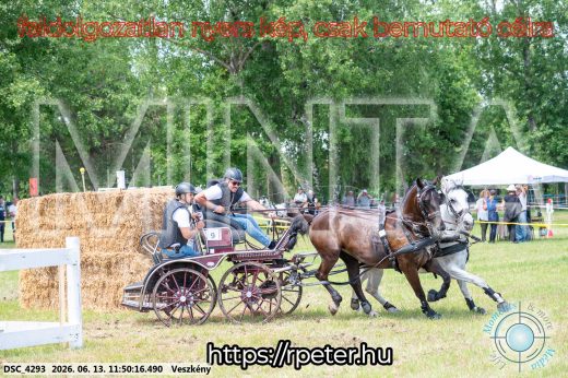 Mintakép 20260613-758
