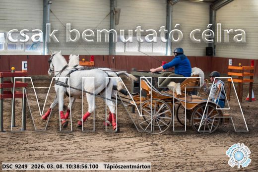 Mintakép 20260308-179