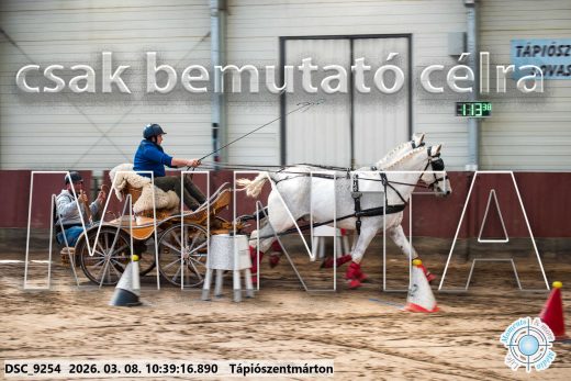 Mintakép 20260308-183