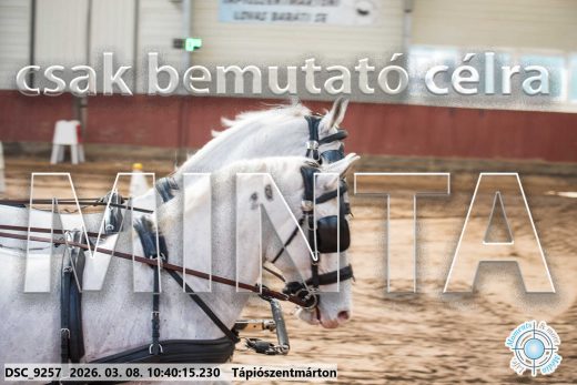 Mintakép 20260308-185