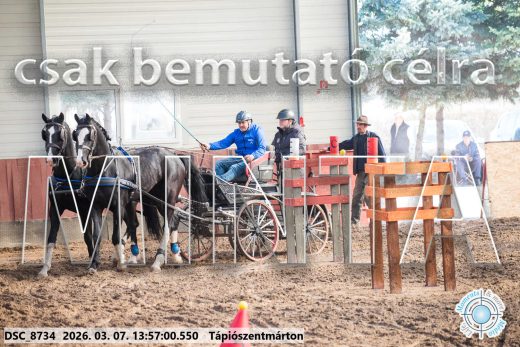 20260307-135700-DSC_8734.jpg