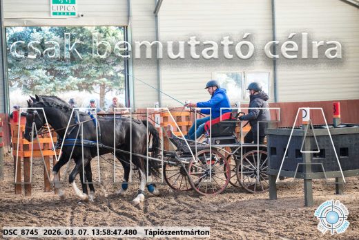Mintakép 20260307-1030