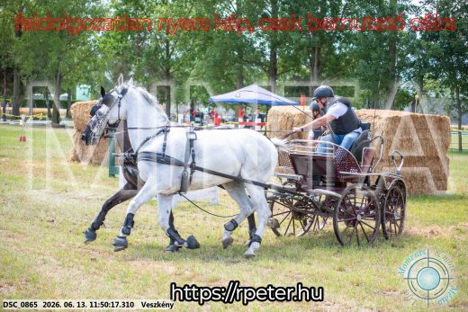 Mintakép 20260613-760