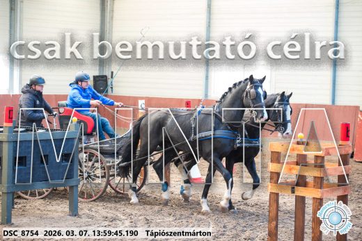 Mintakép 20260307-1039