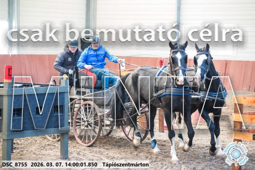 Mintakép 20260307-1040