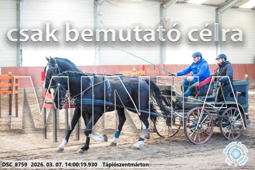Mintakép 20260307-1043