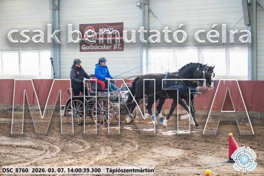 Mintakép 20260307-1044