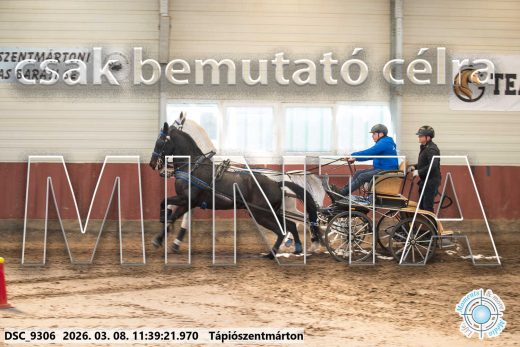 Mintakép 20260308-188