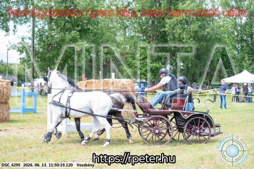 Mintakép 20260613-762