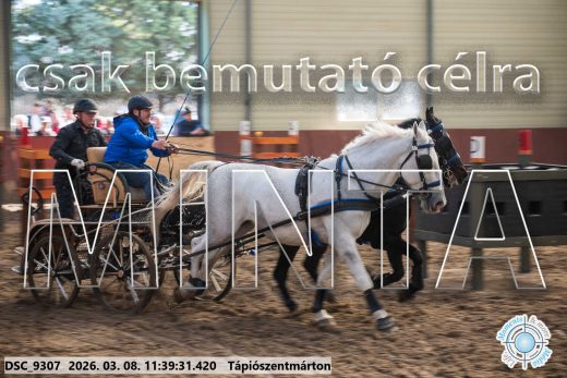 Mintakép 20260308-189