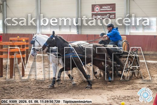 Mintakép 20260308-191