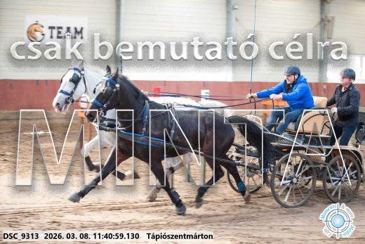 Mintakép 20260308-194