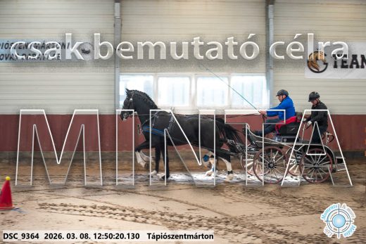 Mintakép 20260308-196