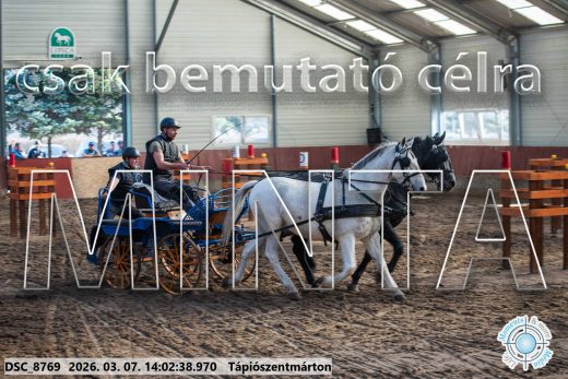 Mintakép 20260307-1052