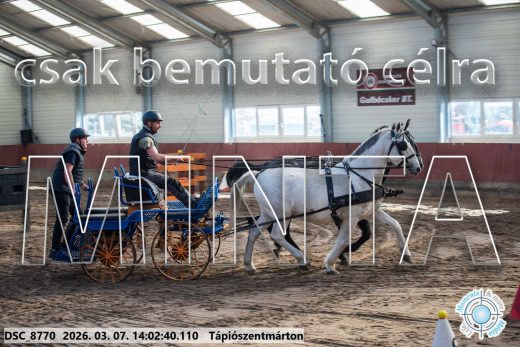 Mintakép 20260307-1053