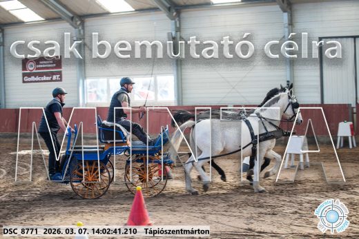 Mintakép 20260307-1054
