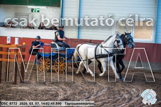 Mintakép 20260307-1055