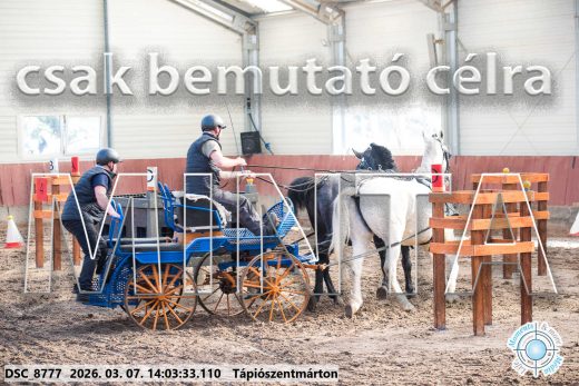 Mintakép 20260307-1058