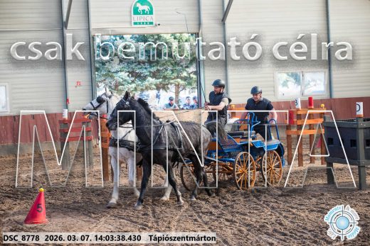 Mintakép 20260307-1059