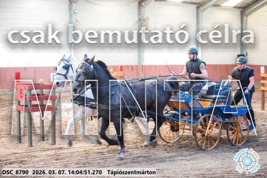 Mintakép 20260307-1071