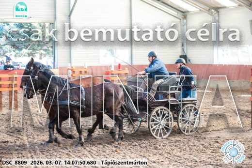 Mintakép 20260307-1088