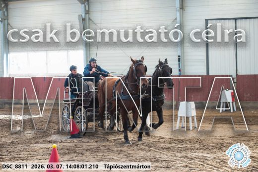 Mintakép 20260307-1090