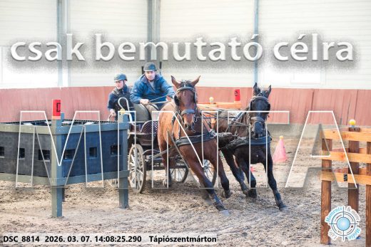 Mintakép 20260307-1093